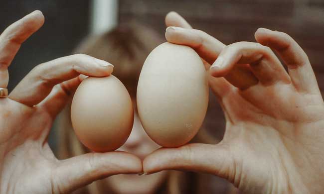 Vergleich von zwei verschieden grossen Eiern
