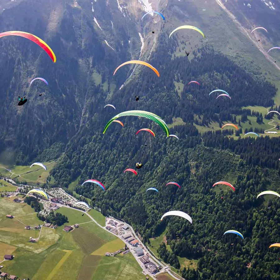 Paragliders flying towards a common goal