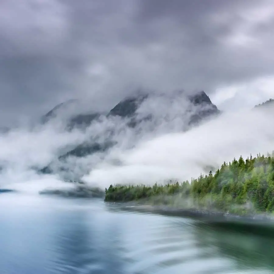 Fog over lake