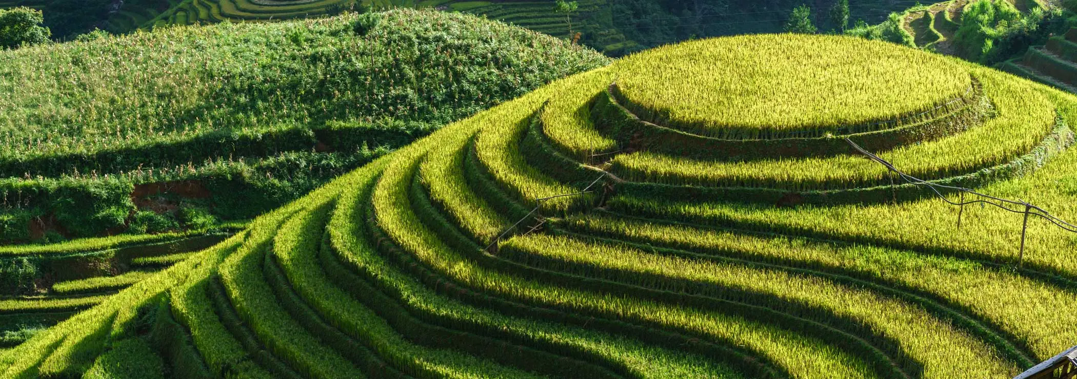 Terraced hill