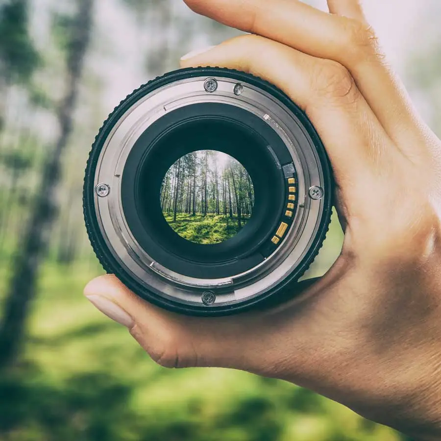 In the photo lens the otherwise blurred forest is in focus