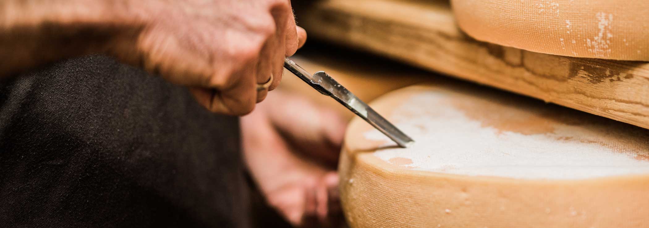 Sampling of a cheese wheel with a cheese drill