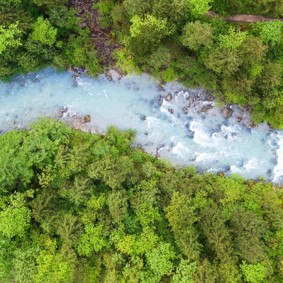A river meanders through a forest