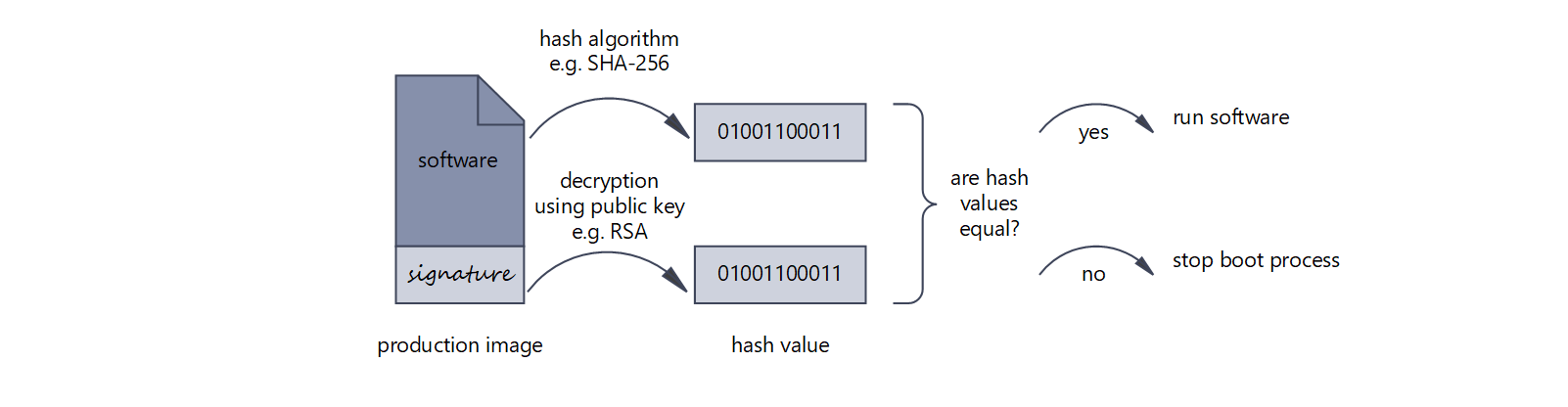 Illustration of the signature verification at software startup