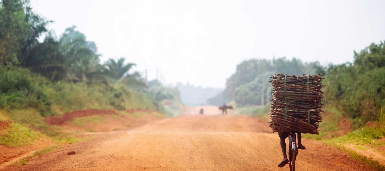 Bicycle overloaded with firewood