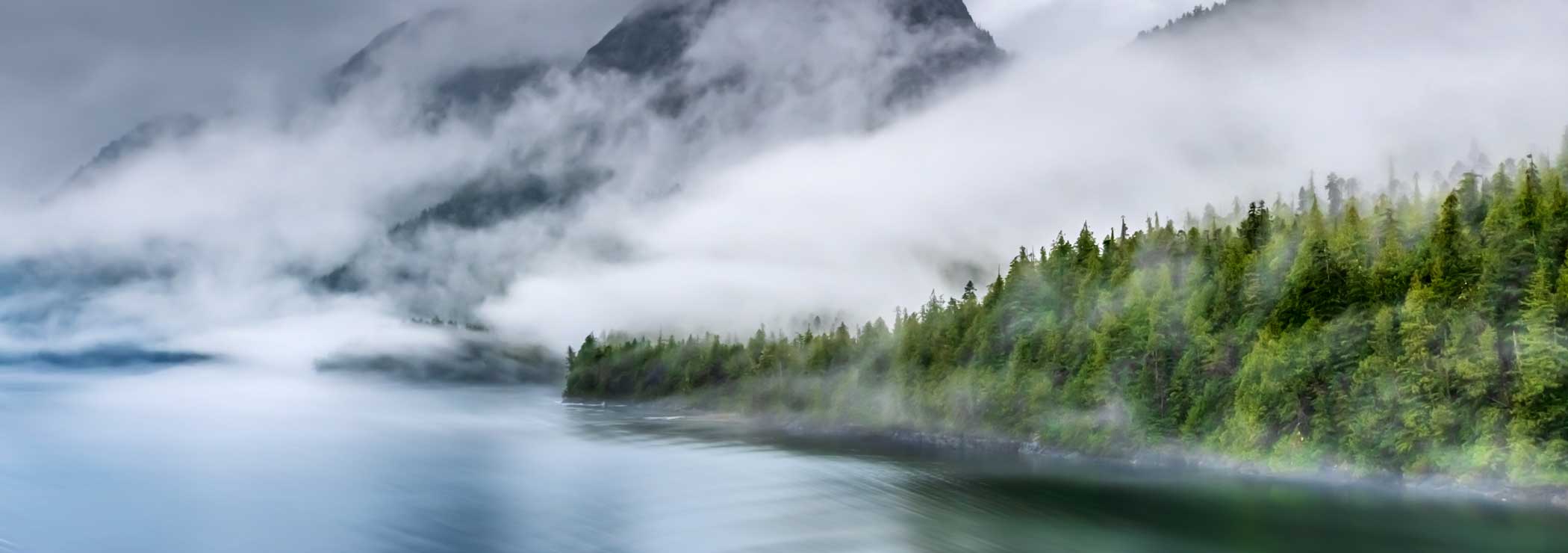 Fog over lake