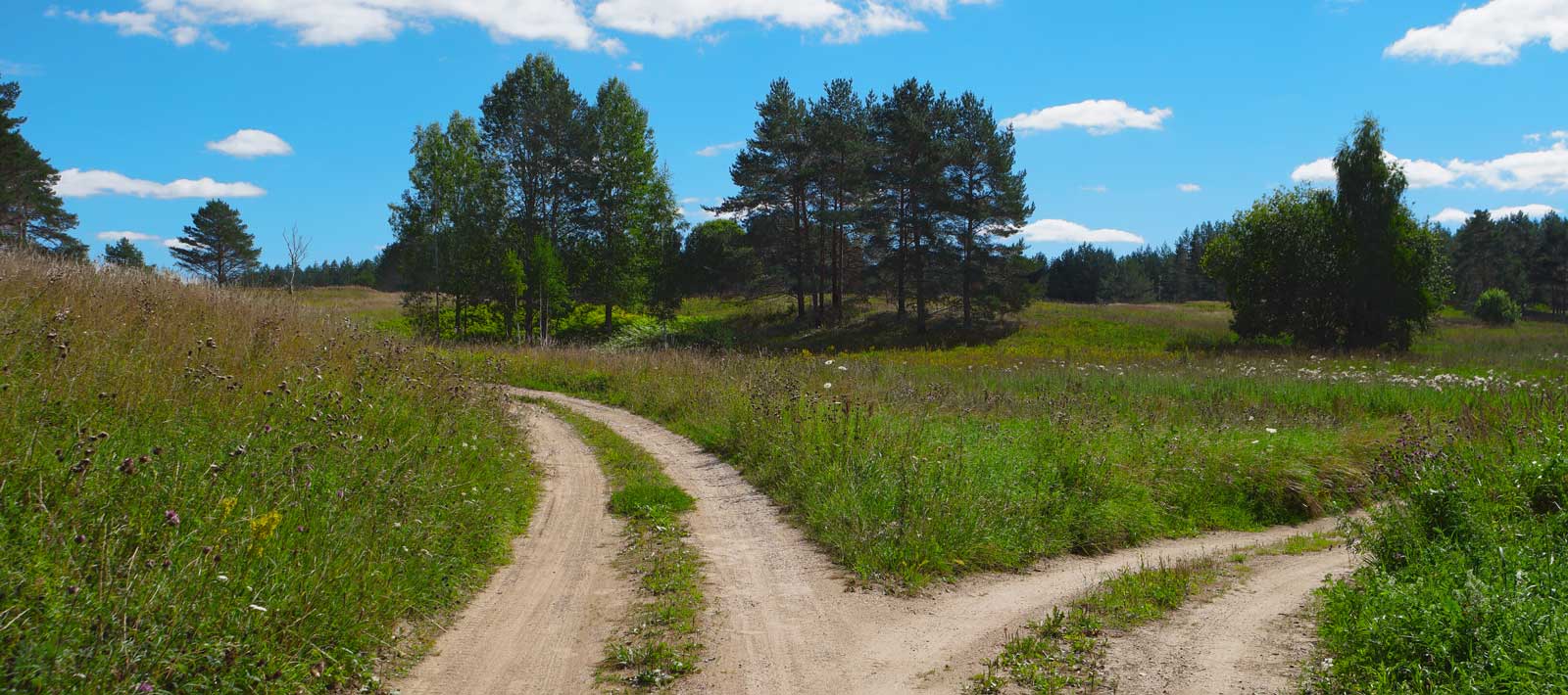 A dirt road forks into two roads