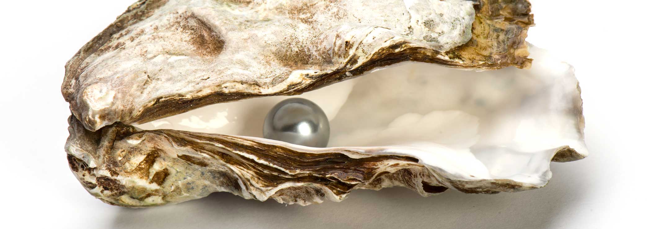 Oyster with pearl